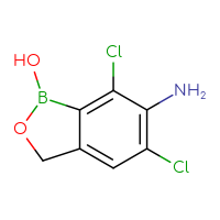 C7H6BCl2NO2