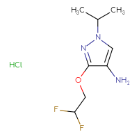Chemical structure of 3-(2,2-difluoroethoxy)-1-(propan-2-yl)-1H-pyrazol-4-amine hydrochloride - CSSB00025719073