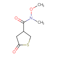 Chemical structure of N-methoxy-N-methyl-5-oxothiolane-3-carboxamide - CSSB00015225165