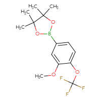 Chemical structure of 2-[3-methoxy-4-(trifluoromethoxy)phenyl]-4,4,5,5-tetramethyl-1,3,2-dioxaborolane - CSSB00010058014
