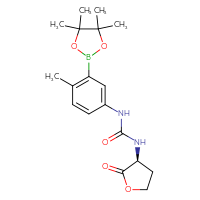 Chemical structure of 1-[4-methyl-3-(4,4,5,5-tetramethyl-1,3,2-dioxaborolan-2-yl)phenyl]-3-[(3S)-2-oxooxolan-3-yl]urea - CSSB21245996886