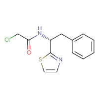 Chemical structure of 2-chloro-N-[(1R)-2-phenyl-1-(1,3-thiazol-2-yl)ethyl]acetamide - CSSB21332100637