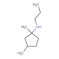 C10H21N