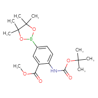 C19H28BNO6