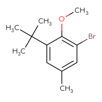 Chemical structure of 1-bromo-3-tert-butyl-2-methoxy-5-methylbenzene - CSSB00010321067