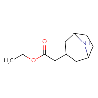 C11H19NO2