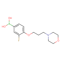 C13H19BFNO4
