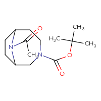 Chemical structure of tert-butyl 9-acetyl-3,9-diazabicyclo[4.2.1]nonane-3-carboxylate - CSSB00113927906