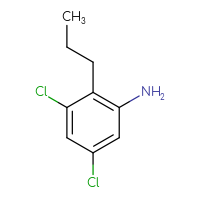 C9H11Cl2N