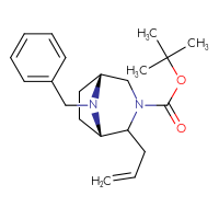 Chemical structure of tert-butyl (1S,5R)-8-benzyl-2-(prop-2-en-1-yl)-3,8-diazabicyclo[3.2.1]octane-3-carboxylate - CSSB20621662710
