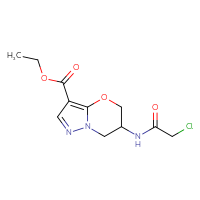 Chemical structure of ethyl 6-(2-chloroacetamido)-5H,6H,7H-pyrazolo[3,2-b][1,3]oxazine-3-carboxylate - CSSB21332097356