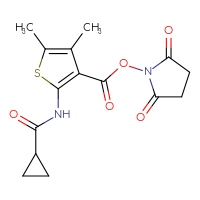 Chemical structure of 2,5-dioxopyrrolidin-1-yl 2-cyclopropaneamido-4,5-dimethylthiophene-3-carboxylate - CSSB20269788943