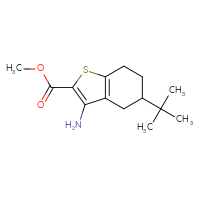 Chemical structure of methyl 3-amino-5-tert-butyl-4,5,6,7-tetrahydro-1-benzothiophene-2-carboxylate - CSSB21432564746