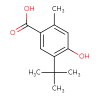 Chemical structure of 5-tert-butyl-4-hydroxy-2-methylbenzoic acid - CSSB00021174298