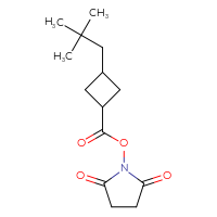 Chemical structure of 2,5-dioxopyrrolidin-1-yl 3-(2,2-dimethylpropyl)cyclobutane-1-carboxylate - CSSB20269493787