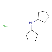 C10H20ClN