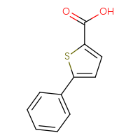 Chemical structure of 5-phenylthiophene-2-carboxylic acid - CSSB00000185115