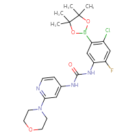 Chemical structure of 3-[4-chloro-2-fluoro-5-(4,4,5,5-tetramethyl-1,3,2-dioxaborolan-2-yl)phenyl]-1-[2-(morpholin-4-yl)pyridin-4-yl]urea - CSSB21332131386