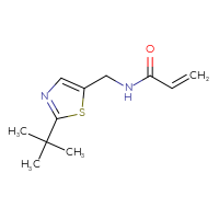 Chemical structure of N-[(2-tert-butyl-1,3-thiazol-5-yl)methyl]prop-2-enamide - CSSB00158399783