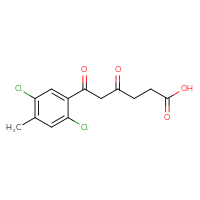 Chemical structure of 6-(2,5-dichloro-4-methylphenyl)-4,6-dioxohexanoic acid - CSSB21432496365