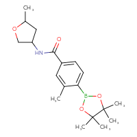 Chemical structure of 3-methyl-N-(5-methyloxolan-3-yl)-4-(4,4,5,5-tetramethyl-1,3,2-dioxaborolan-2-yl)benzamide - CSSB02533259951