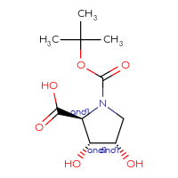 C10H17NO6