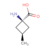 C6H11NO2