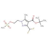 Chemical structure of tert-butyl 3-(difluoromethyl)-1-[2-(methanesulfonyloxy)ethyl]-5-methyl-1H-pyrazole-4-carboxylate - CSSB21246289702