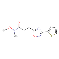 Chemical structure of N-methoxy-N-methyl-3-[3-(thiophen-2-yl)-1,2,4-oxadiazol-5-yl]propanamide - CSSB00103884841