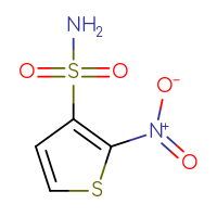 Chemical structure of 2-nitrothiophene-3-sulfonamide - CSSB00000071259