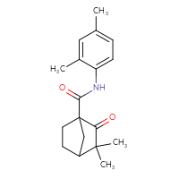 Chemical structure of N-(2,4-dimethylphenyl)-3,3-dimethyl-2-oxobicyclo[2.2.1]heptane-1-carboxamide - CSSB00121726822