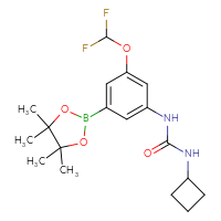 Chemical structure of 3-cyclobutyl-1-[3-(difluoromethoxy)-5-(4,4,5,5-tetramethyl-1,3,2-dioxaborolan-2-yl)phenyl]urea - CSSB21332112895