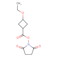Chemical structure of 2,5-dioxopyrrolidin-1-yl 3-ethoxycyclobutane-1-carboxylate - CSSB00129247942
