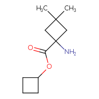 C11H19NO2