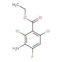 C9H8Cl2FNO2
