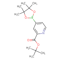 Chemical structure of tert-butyl 4-(4,4,5,5-tetramethyl-1,3,2-dioxaborolan-2-yl)pyridine-2-carboxylate - CSSB06259063090