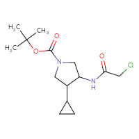Chemical structure of tert-butyl 3-(2-chloroacetamido)-4-cyclopropylpyrrolidine-1-carboxylate - CSSB06257990754