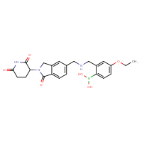 Chemical structure of {2-[({[2-(2,6-dioxopiperidin-3-yl)-1-oxo-2,3-dihydro-1H-isoindol-5-yl]methyl}amino)methyl]-4-ethoxyphenyl}boronic acid - CSSB21415981220