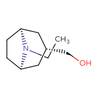 C10H19NO