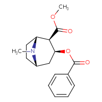 C17H21NO4