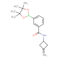 Chemical structure of N-(3-methylidenecyclobutyl)-3-(4,4,5,5-tetramethyl-1,3,2-dioxaborolan-2-yl)benzamide - CSSB02166475006