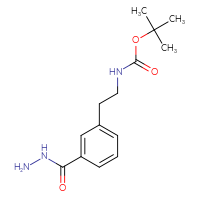 Chemical structure of tert-butyl N-{2-[3-(hydrazinecarbonyl)phenyl]ethyl}carbamate - CSSB02127143952
