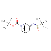 Chemical structure of tert-butyl (1S,4R)-6-{[(R)-2-methylpropane-2-sulfinyl]imino}-2-azabicyclo[2.2.1]heptane-2-carboxylate - CSSB21331810581