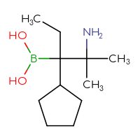 C11H24BNO2
