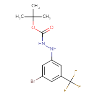 Chemical structure of N'-[3-bromo-5-(trifluoromethyl)phenyl](tert-butoxy)carbohydrazide - CSSB21331811984