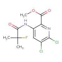 C11H11Cl2FN2O3