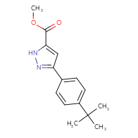 Chemical structure of methyl 3-(4-tert-butylphenyl)-1H-pyrazole-5-carboxylate - CSSB06583404405