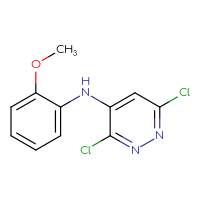 Chemical structure of 3,6-dichloro-N-(2-methoxyphenyl)pyridazin-4-amine - CSSB00006435653