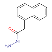 Chemical structure of 2-(naphthalen-1-yl)acetohydrazide - CSSB00000186392