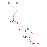C10H11Br2NO4
